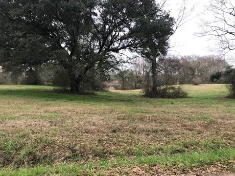 Residential Lot in Oak Haven