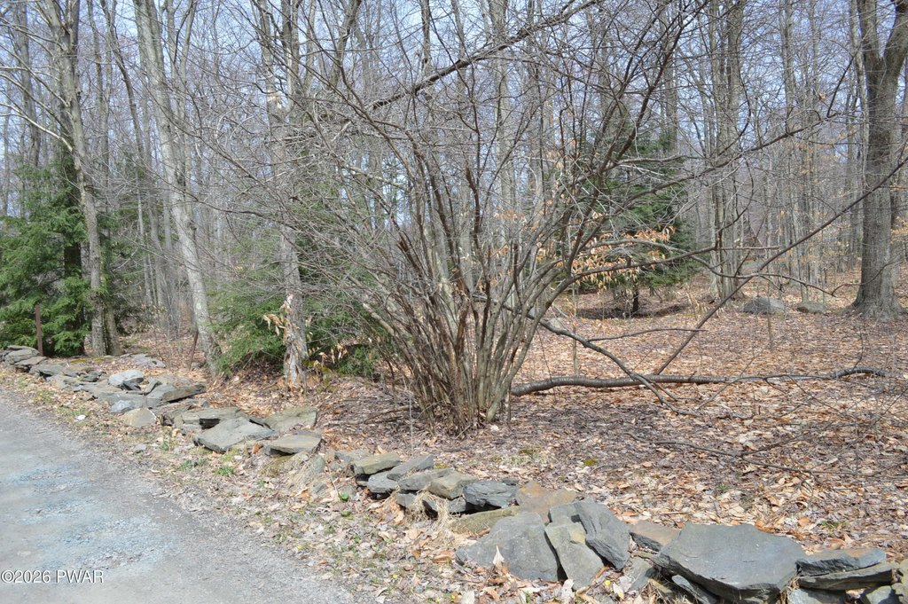 Picture 3