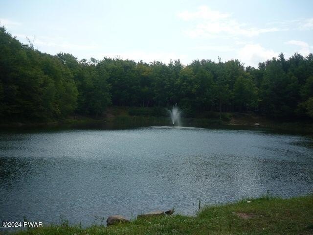 Picture 8