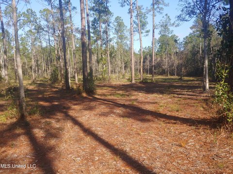 Cleared Land in Kiln, MS