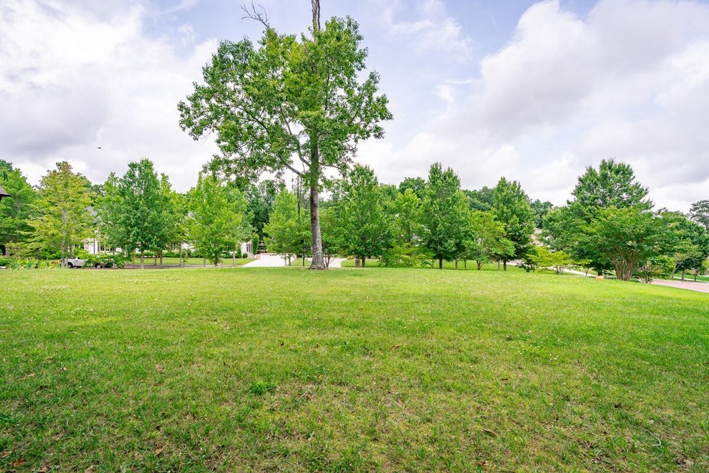 Picture 10