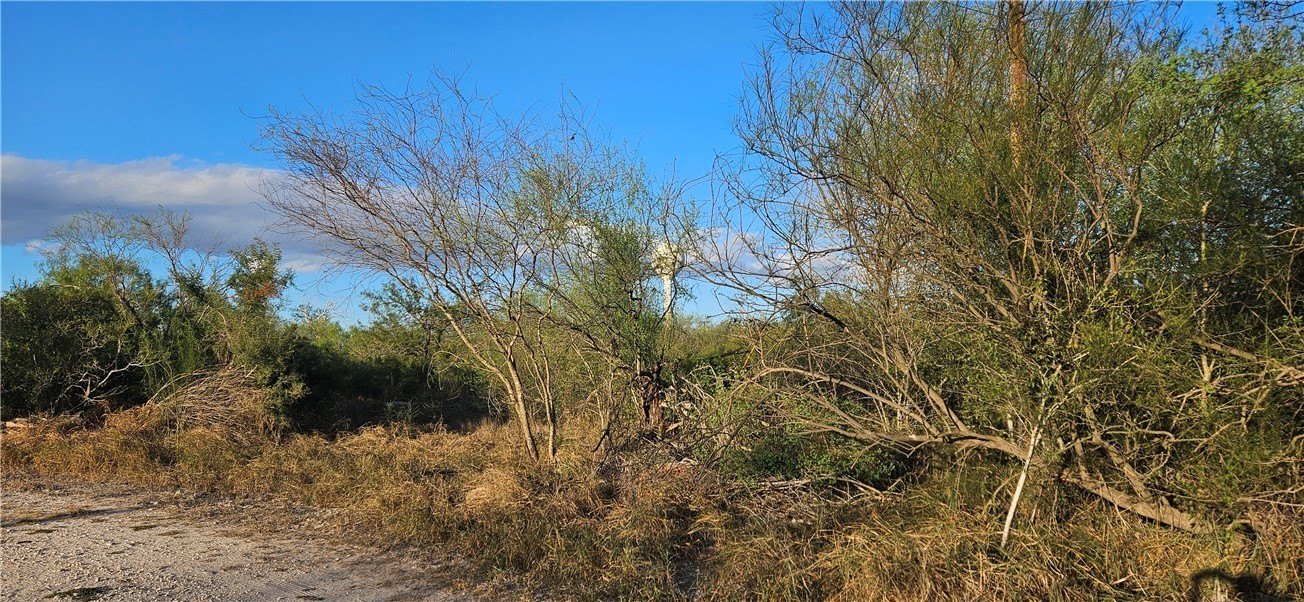 Residential Land in Ben Bolt