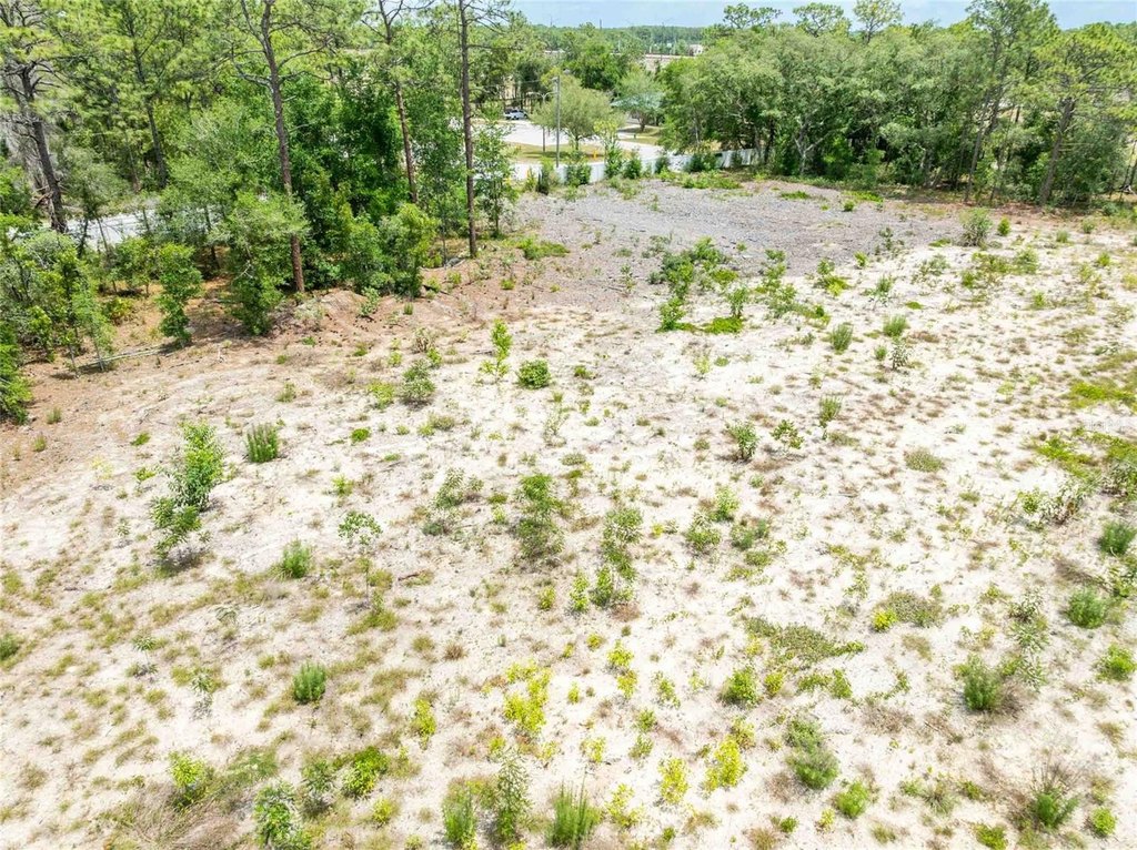 Picture 24