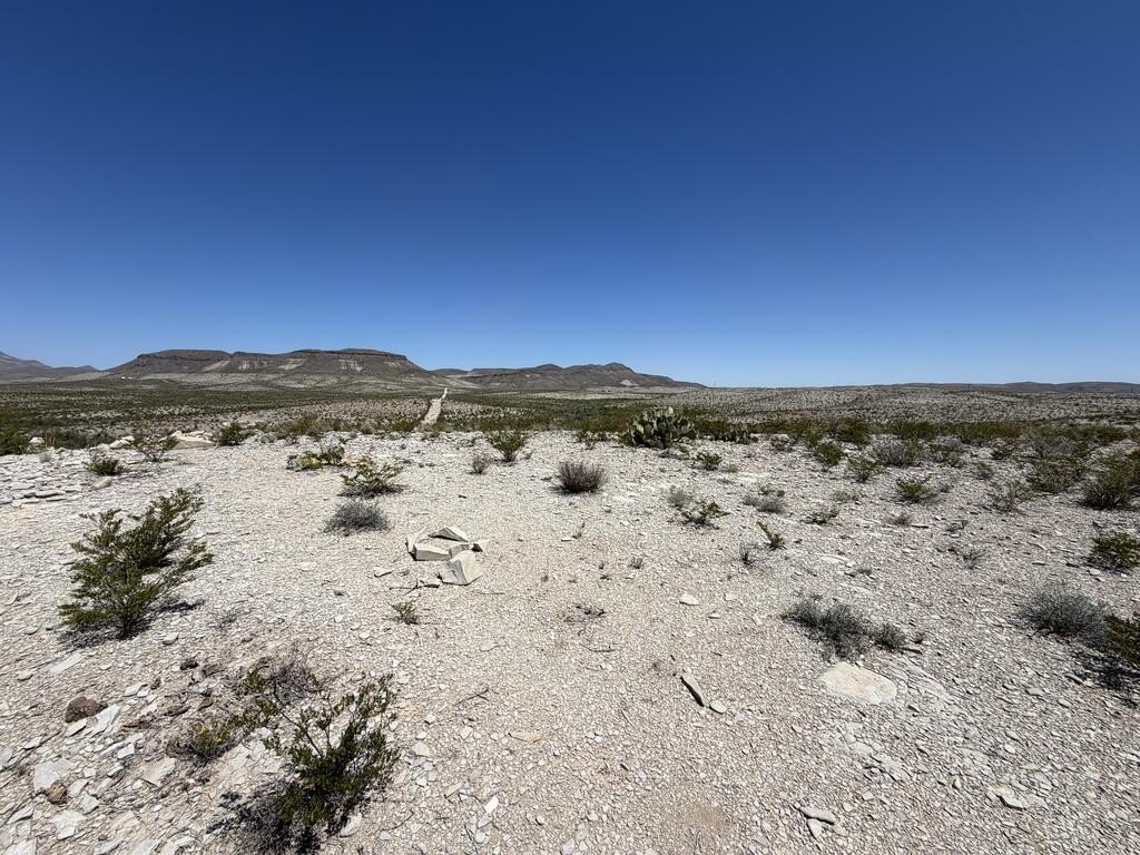 Picture 3