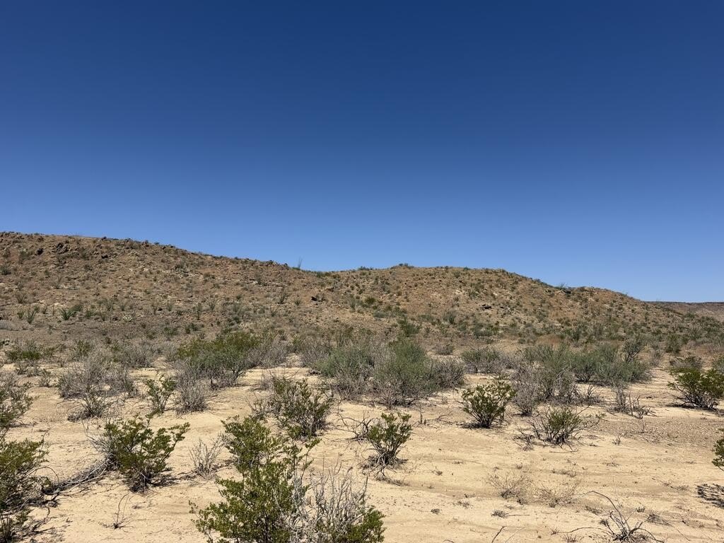 Picture 19