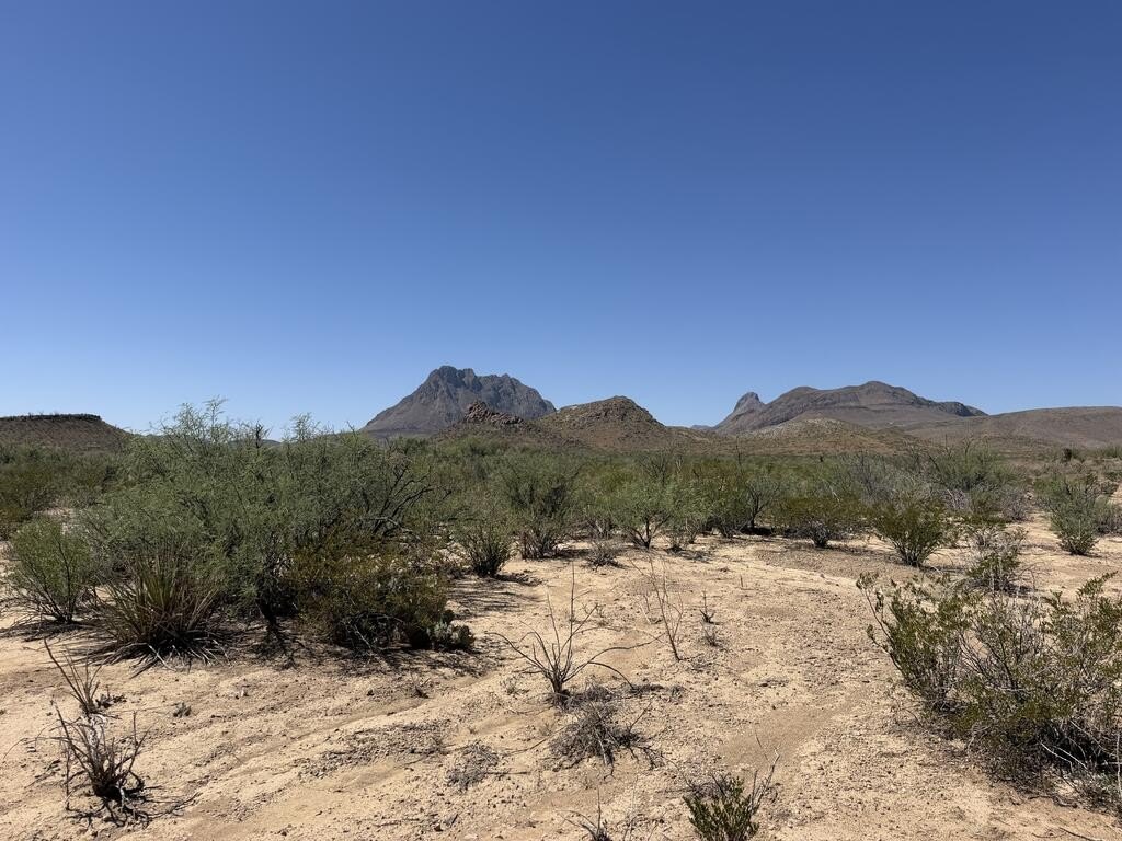 Picture 21