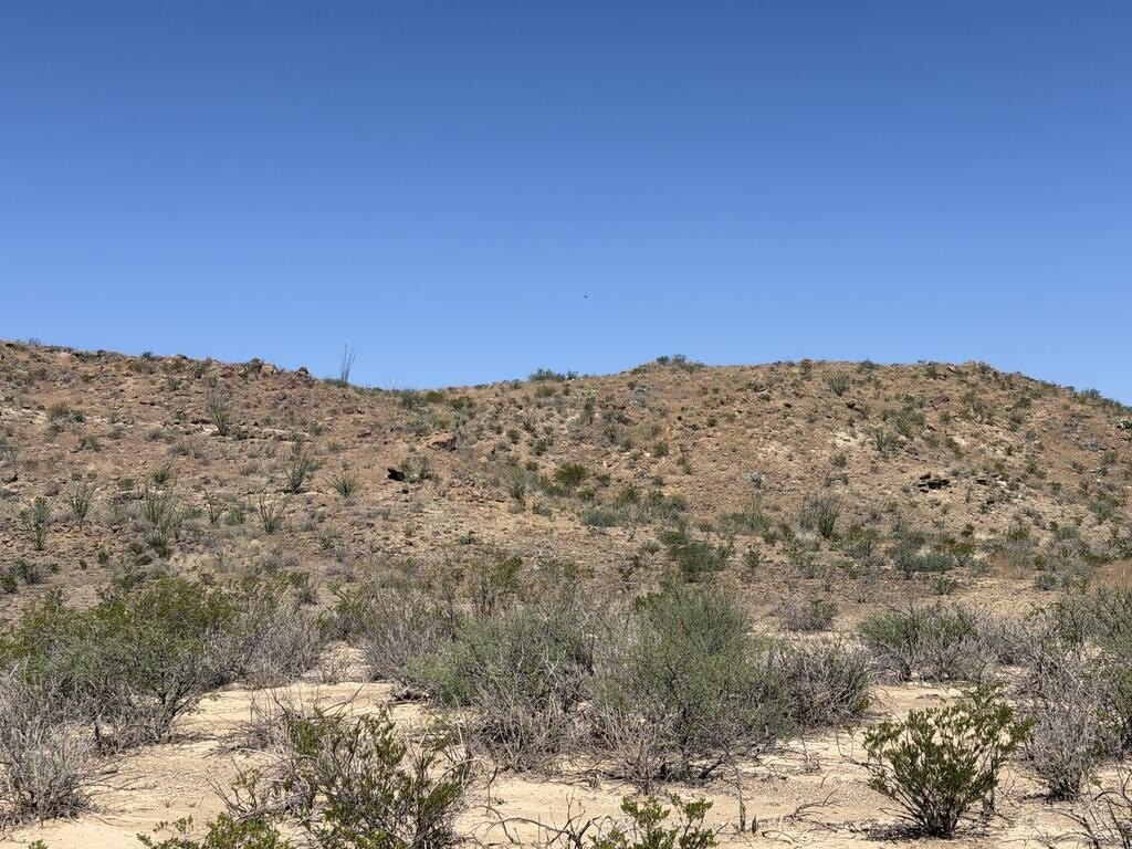 Picture 17