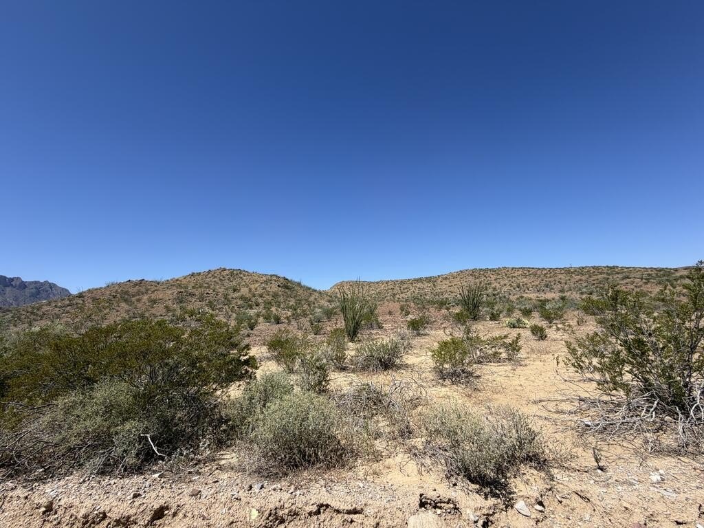 Picture 14