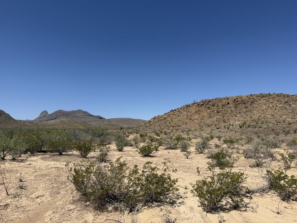 Picture 20