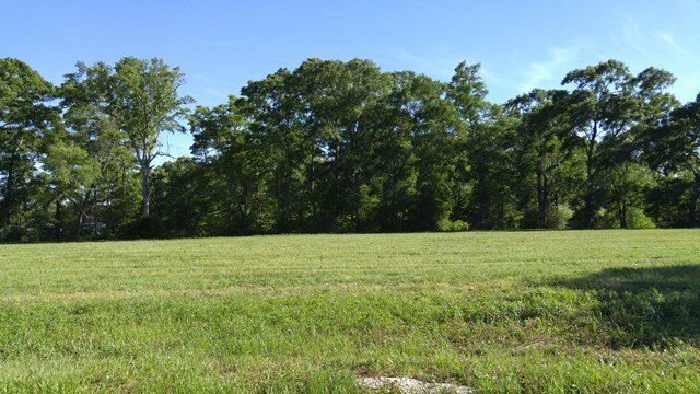 Residential Land in Poplarville, MS