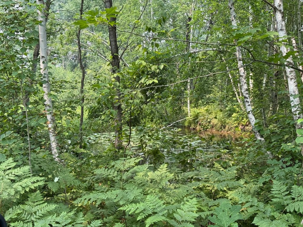 Picture 20