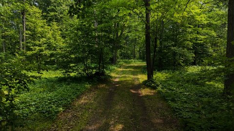 Lakeshore Land with Tree Coverage