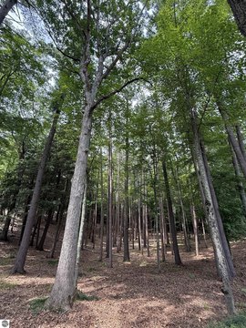 Vacant Lot/Land, Traverse City, MI
