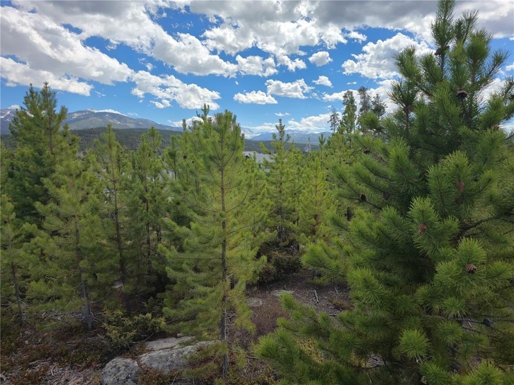 Land in Grand Lake, CO