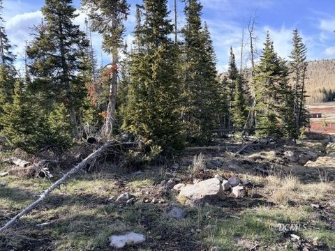 Residential Mountain Lot