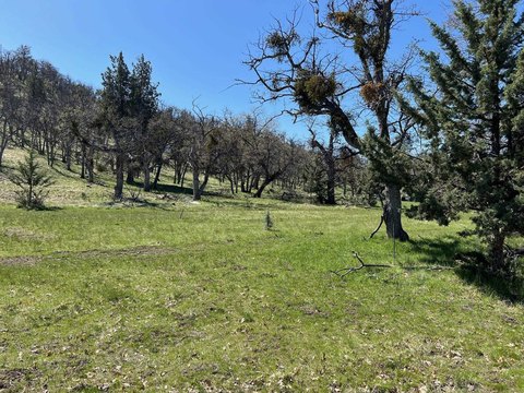 Montague Land with Klamath River Views