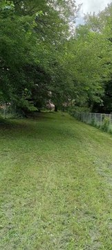 Large Fenced Lot in Chicago