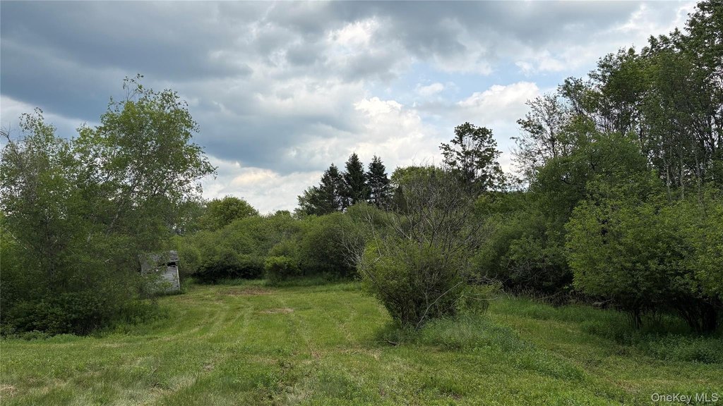 Picture 25