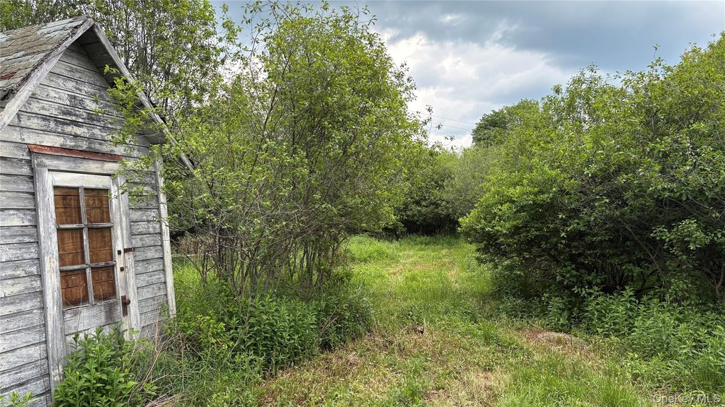 Picture 23