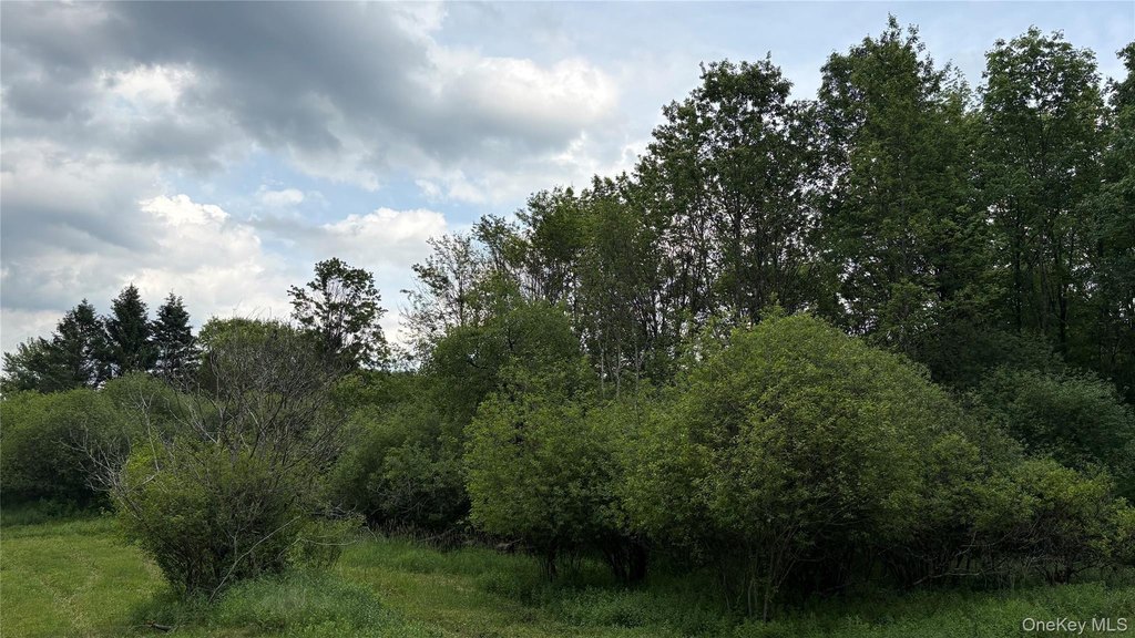 Picture 26