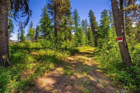 Forest-Adjacent Timber Acreage