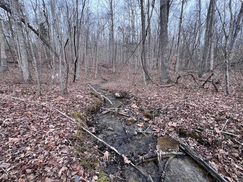 5.16 Acres Wooded Land