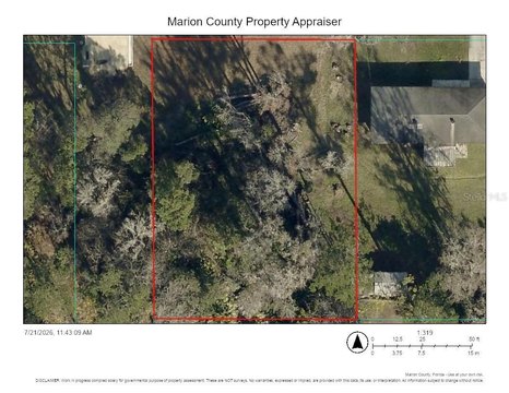 LAND - BELLEVIEW, FL