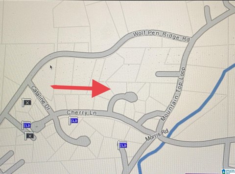 Pell City Land Opportunity