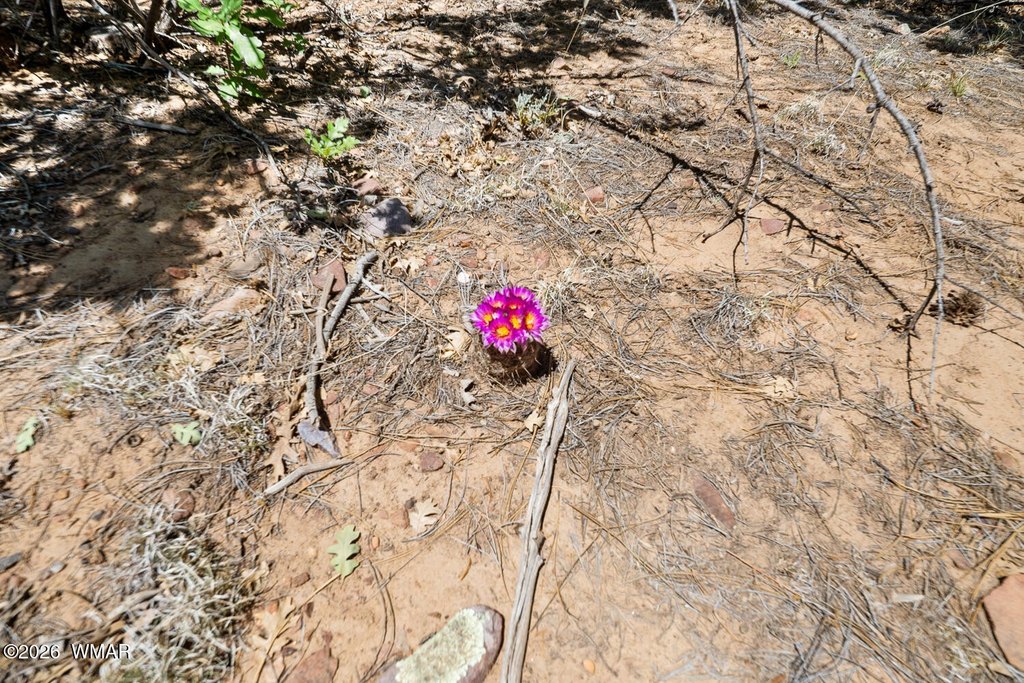 Picture 11