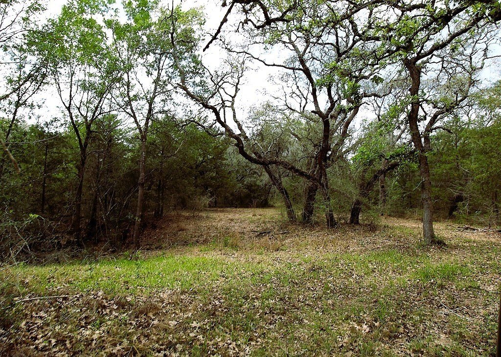 Picture 27
