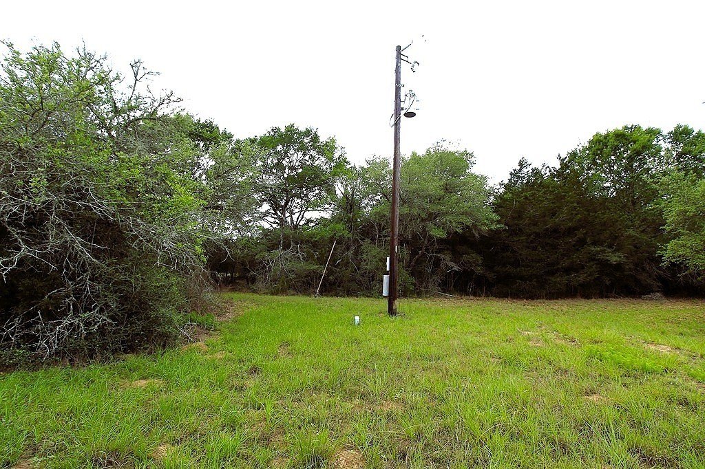 Picture 7