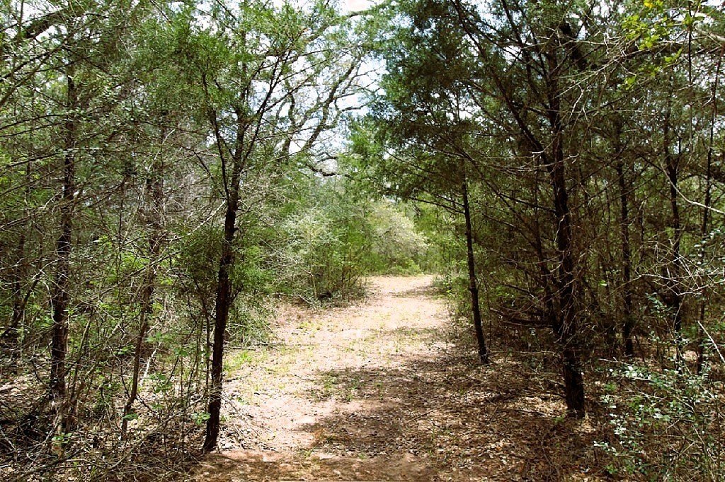 Picture 25