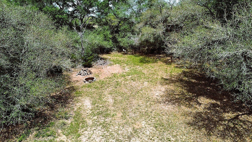 Picture 22