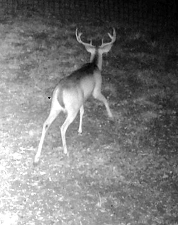 Picture 13