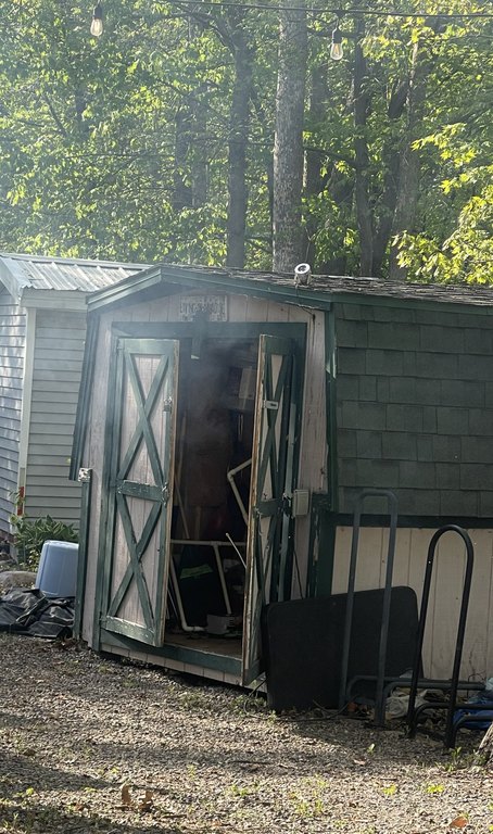 Picture 8