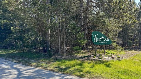 Wooded Lot in Cadillac West