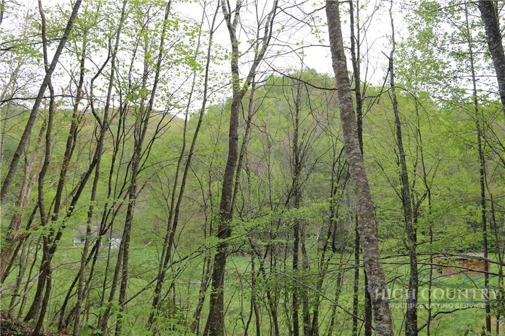 Undeveloped Land in Creston, NC