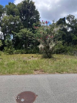 LAND - OCALA, FL