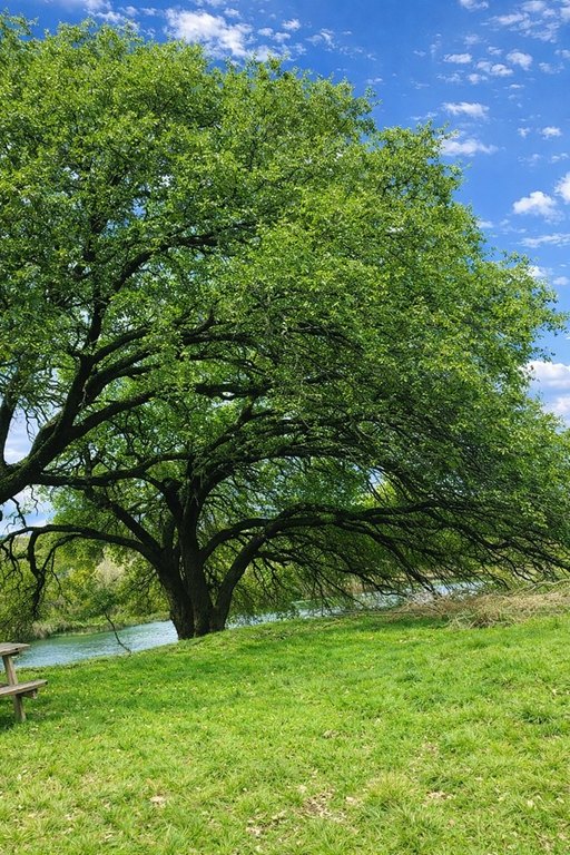 Picture 4