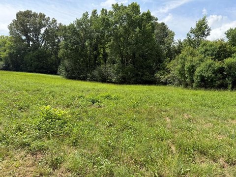 Mixed Pasture and Woods Tract