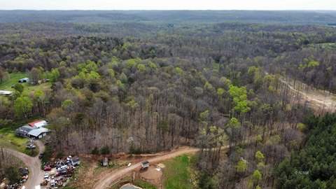 31.21 Acres of Woodland