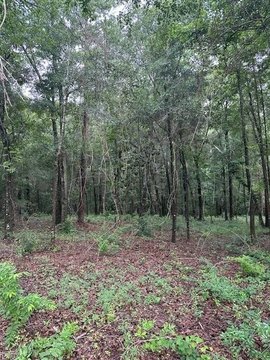 Eufaula Land in Woodlawn Estates
