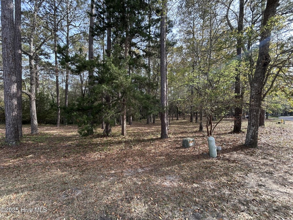 Picture 5