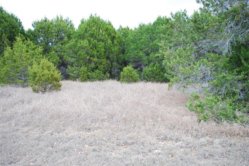 Residential Land in Resort Community