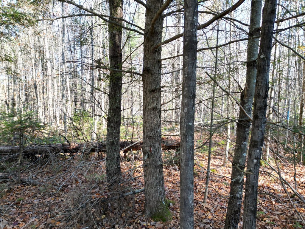 Picture 12