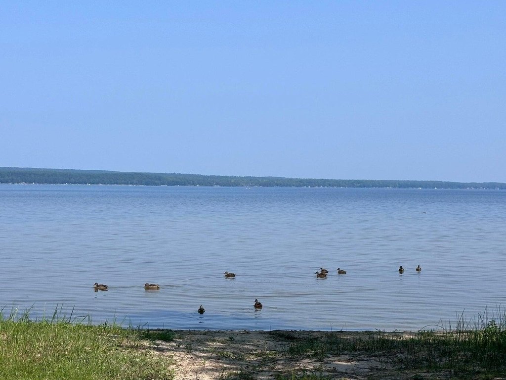Picture 5