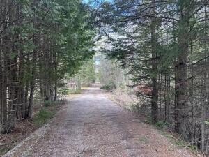 Cheboygan Land with Creek Frontage