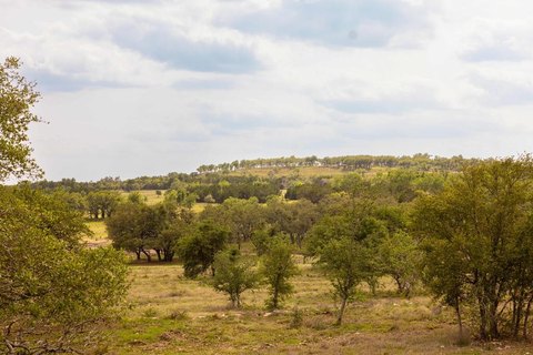 Land, Dripping Springs, TX