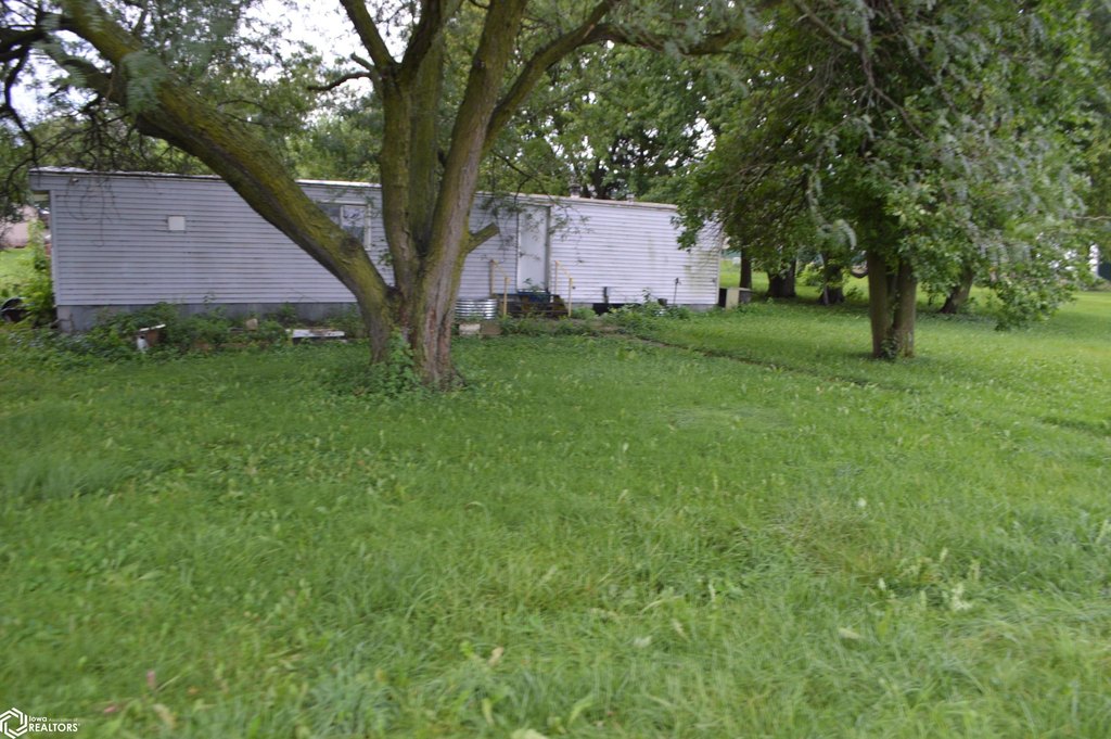 Picture 5