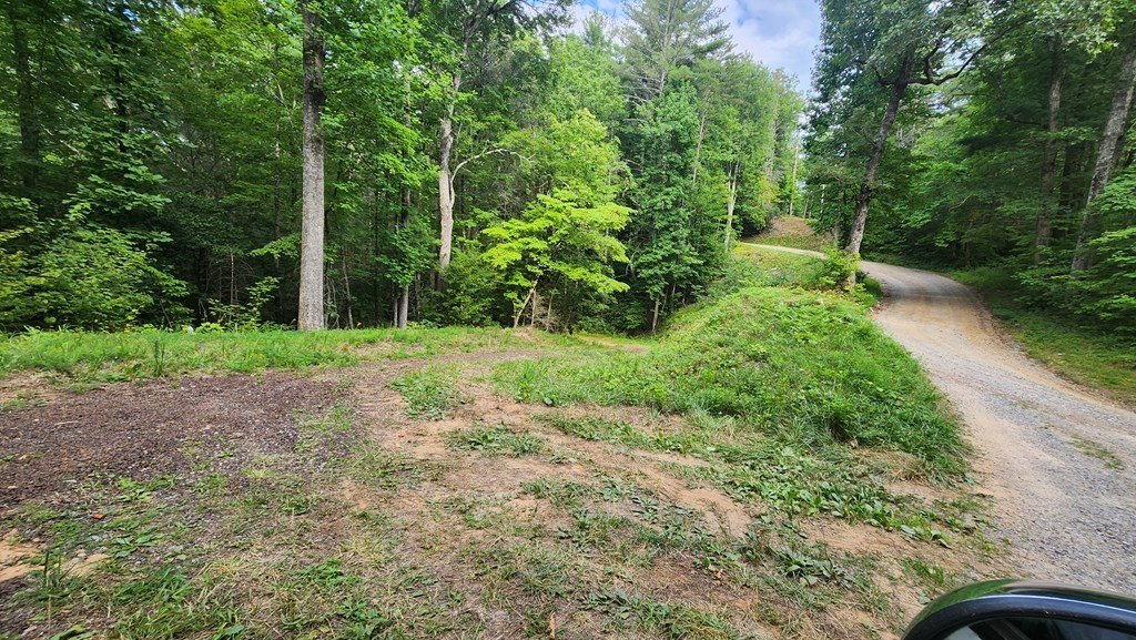 Picture 19